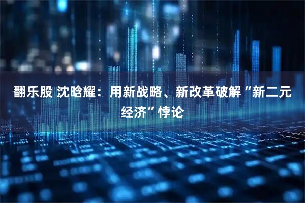 翻乐股 沈晗耀：用新战略、新改革破解“新二元经济”悖论